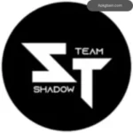 Shadow Team Injector
